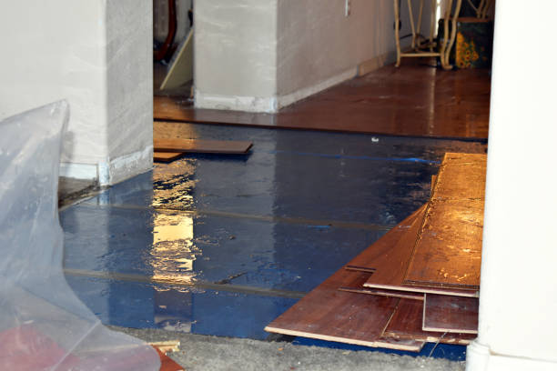 Professional Burst Pipe Cleanup technician working in Fiskdale, MA